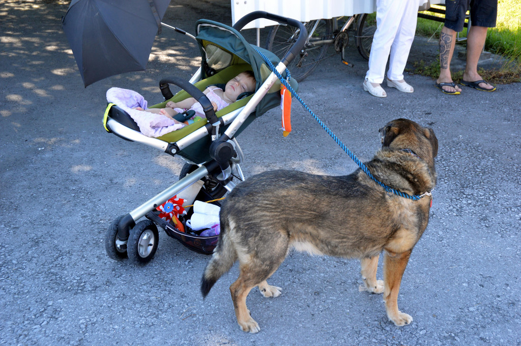 DSC_0039.JPG