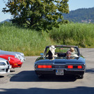 DSC_0065.JPG
