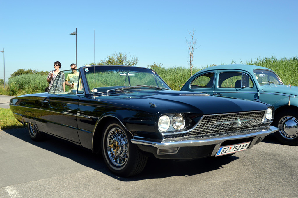 DSC_0079.JPG