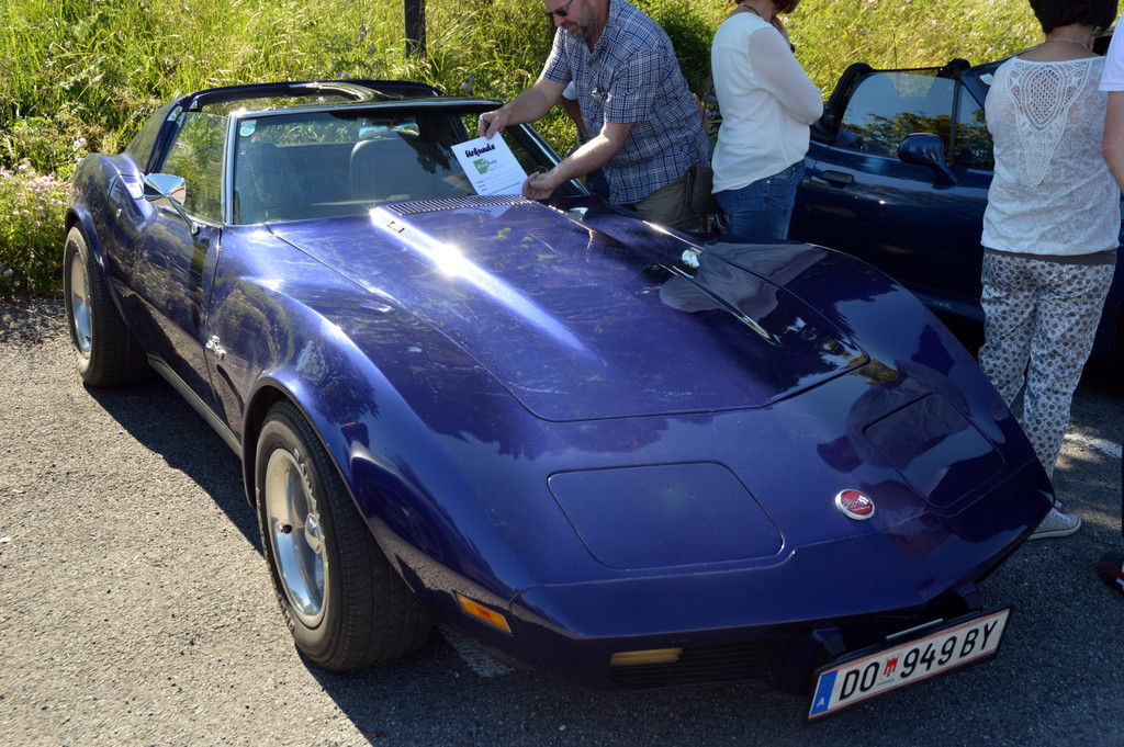 DSC_0082.JPG