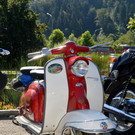 DSC_0179.JPG