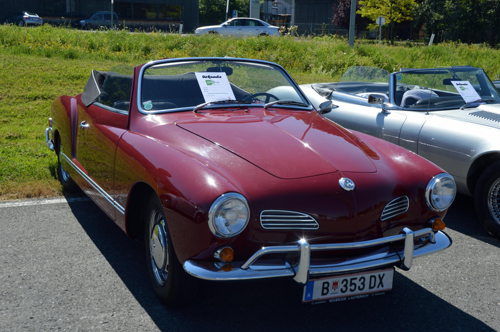 DSC_0218.JPG