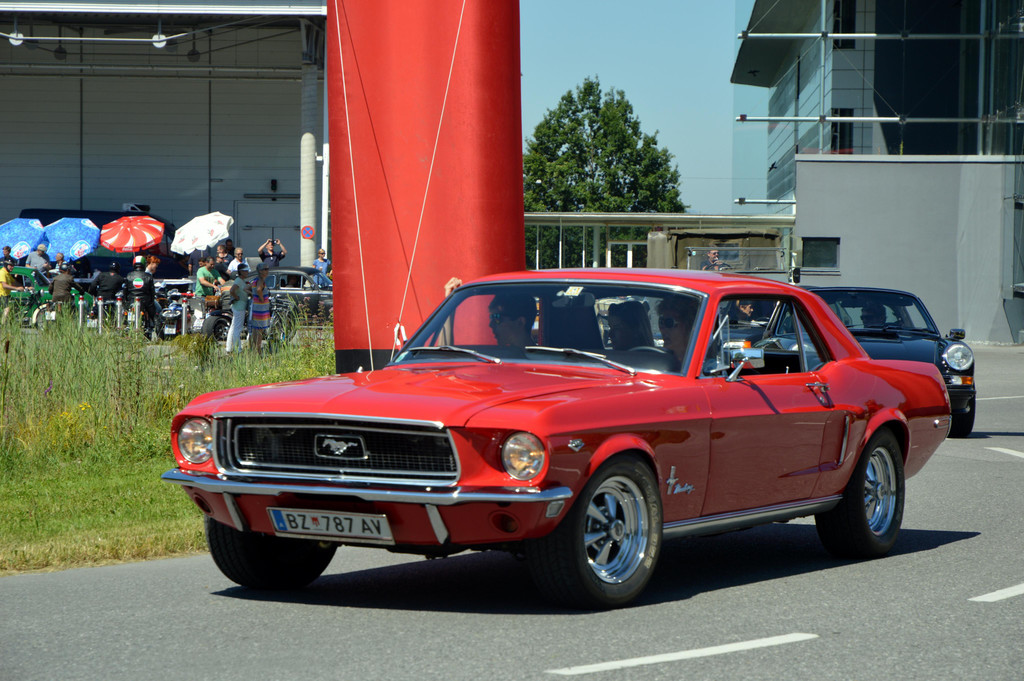 DSC_0245.JPG
