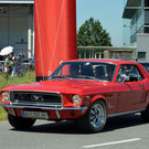 DSC_0245.JPG