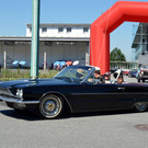 DSC_0250.JPG