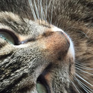 image.jpeg