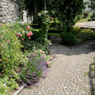 IMG_8677.JPG