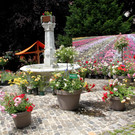 IMG_8685.JPG