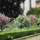 IMG_8687.JPG