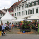 IMG_8697.JPG
