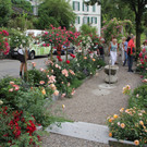 IMG_8699.JPG