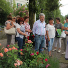 IMG_8700.JPG