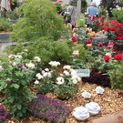 IMG_8721.JPG