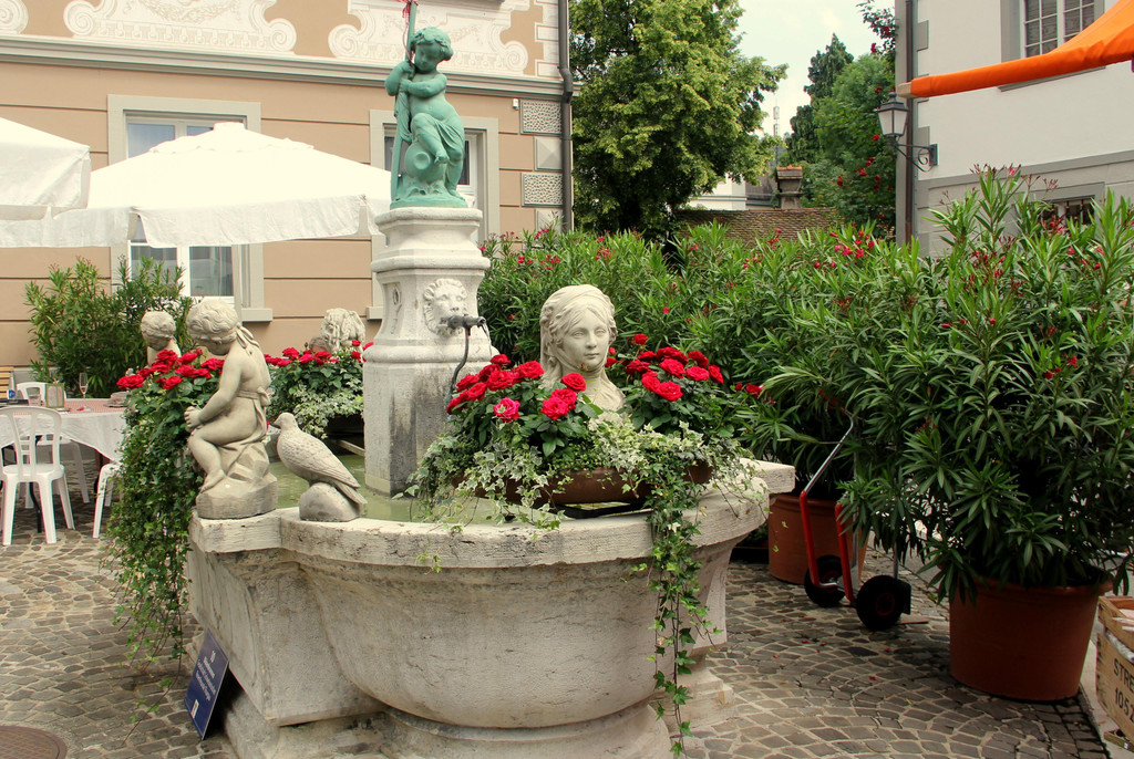 IMG_8740.JPG