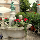 IMG_8740.JPG