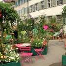 IMG_8741.JPG