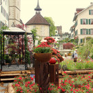 IMG_8748.JPG