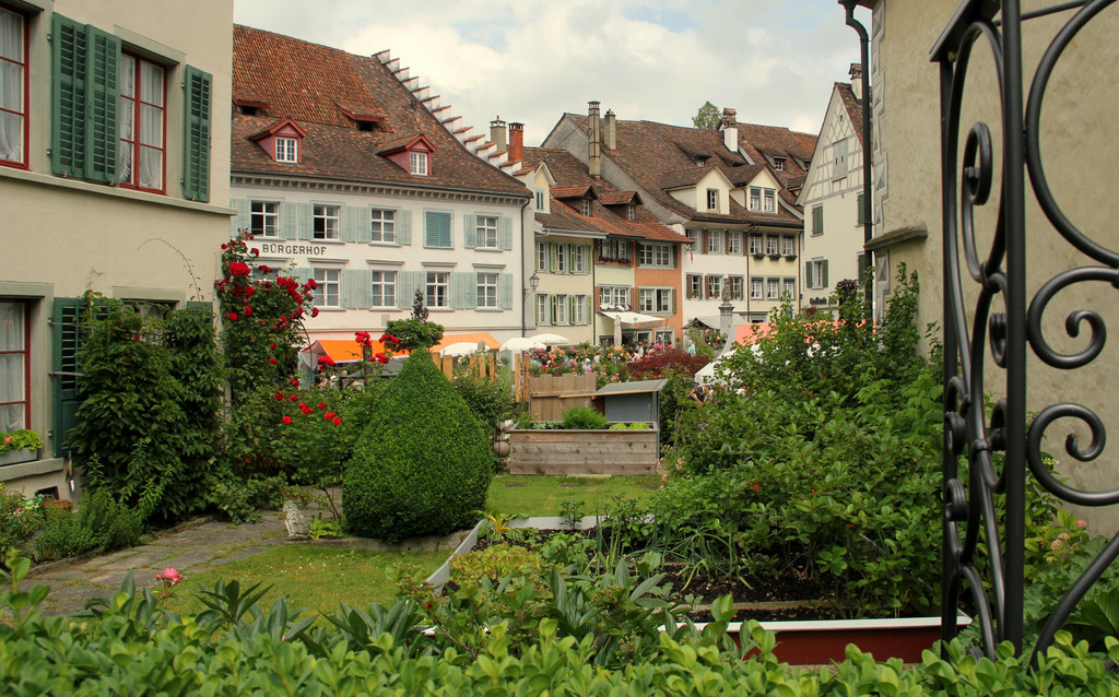 IMG_8753.JPG