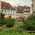 IMG_8753.JPG