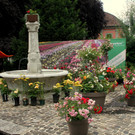 IMG_8761.JPG