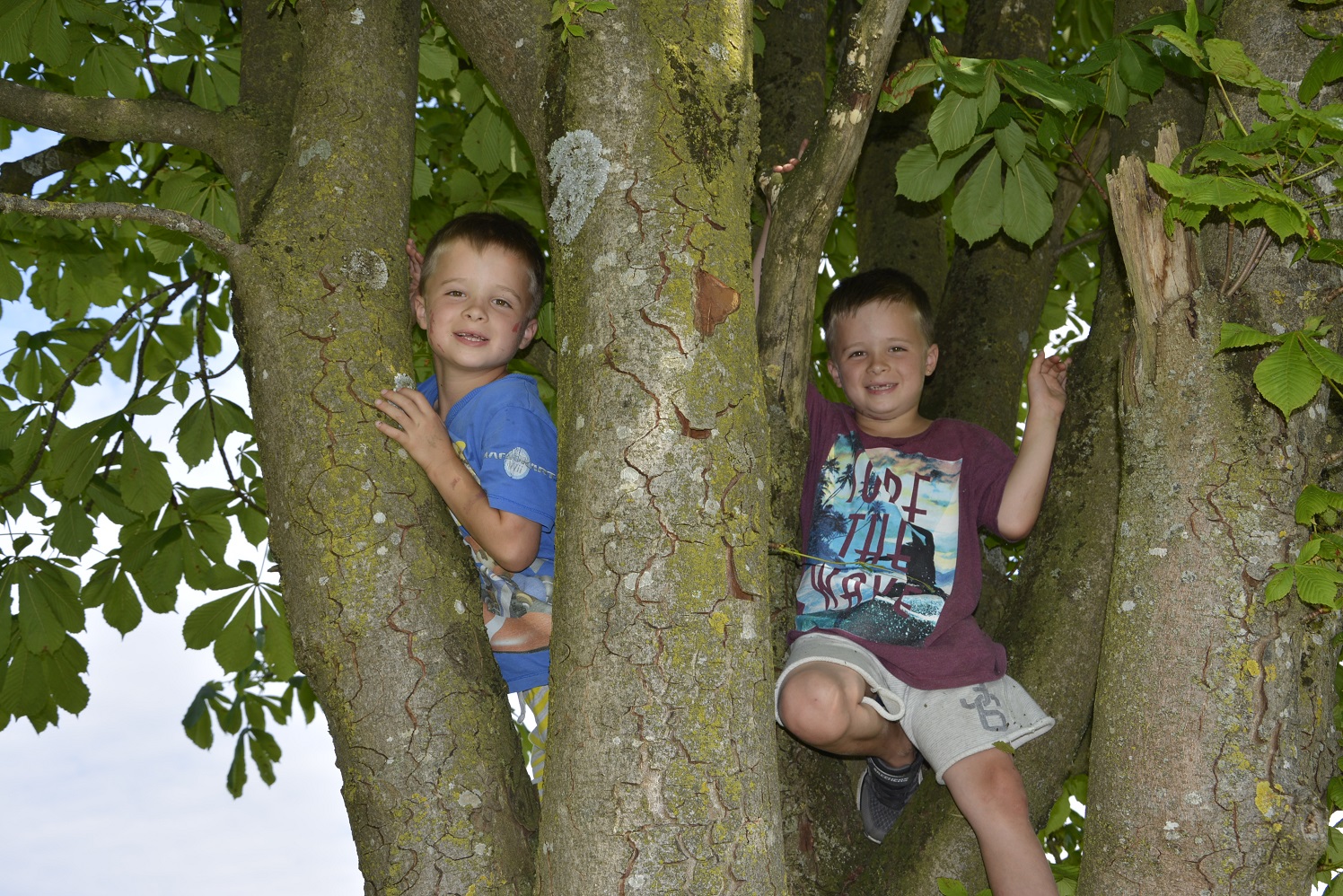 Baumklettern Simon und Jan_.JPG