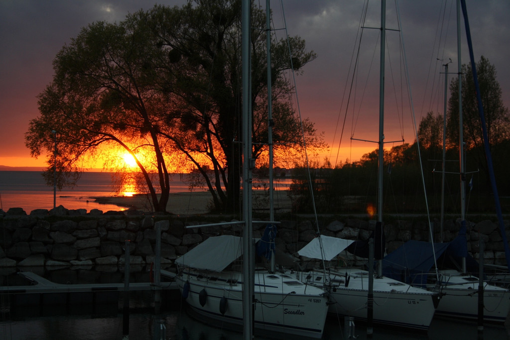 Lochau Alte F__hre Jubil__um Termin 2016 _6_.JPG