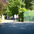Frühschoppen 2016    