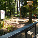KOE_Fruehschoppen im Wildpark 6.jpg