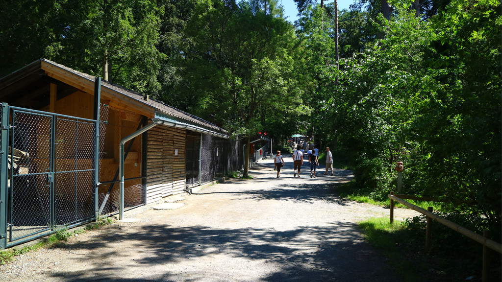 KOE_Fruehschoppen im Wildpark 9.jpg