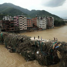 AFP_D27YG.jpg