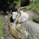 Kunst in der Natur.jpg