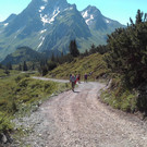 Alpe Oberpatnom