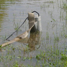 11072016_Unwetter Bez_ WN _8_.jpg