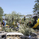 Italy_Train_Crash_5.jpg