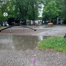 Pokémon Go in Bregenz 