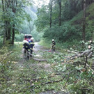 Unwetter im südlichen Niederösterreich: Einsätze in Bezirken Neunkirchen, Wiener Neustadt, Baden und Mödling