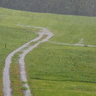 comp2G4A7603.jpg