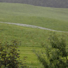 comp2G4A7604.jpg