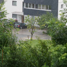 comp2G4A7605.jpg