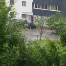 comp2G4A7606.jpg