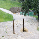 Unwetter Mu__selbach17.jpg