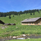 IMG_4753.jpg