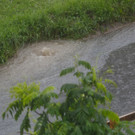 comp2G4A7601.jpg