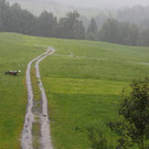 comp2G4A7602_001.jpg