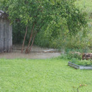 comp2G4A7611_001.jpg