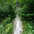 comp2G4A7622.jpg