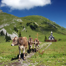 Wandern