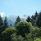 DSC05355.jpg