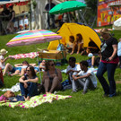 IMG_1230.jpg