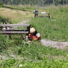 IMG_2858.JPG